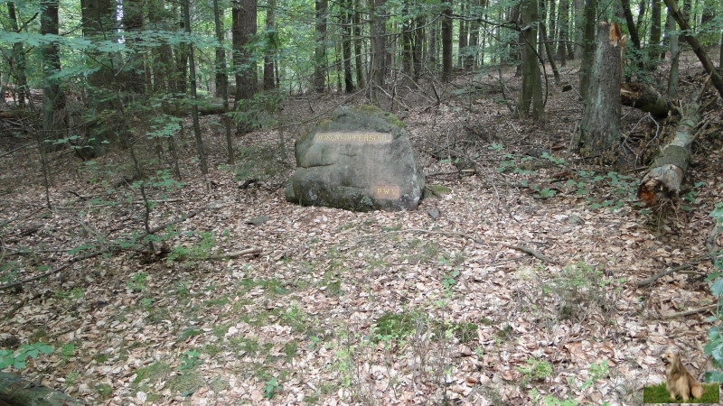 Ritterstein Nr. 158-4 Meisenkopfersohl.JPG - Ritterstein Nr.158 Meisenkopfersohl